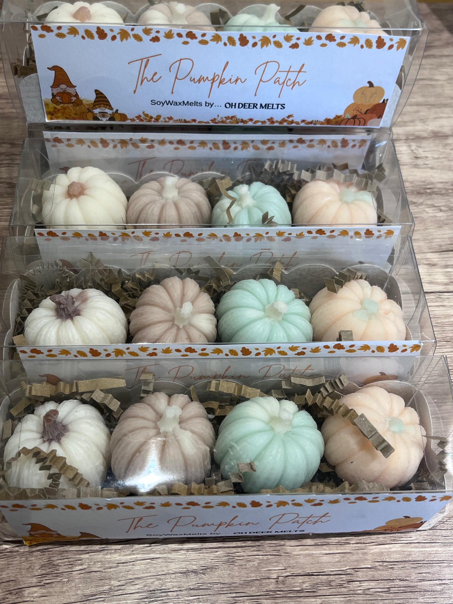The Pumpkin Patch